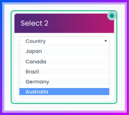 modern dropdown option