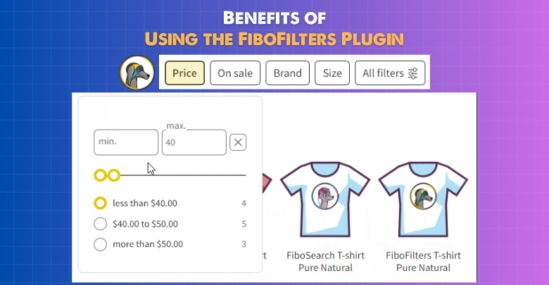 Benefits of Using the FiboFilters Plugin