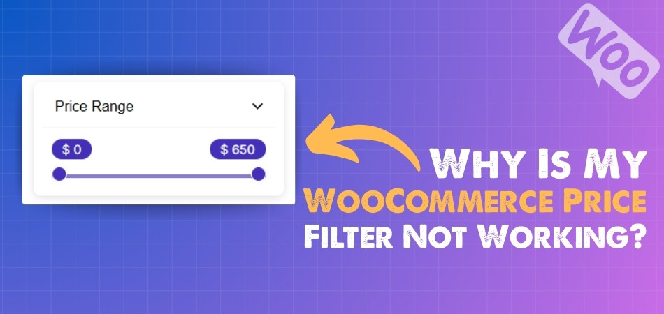Why Is My WooCommerce Price Filter Not Working?