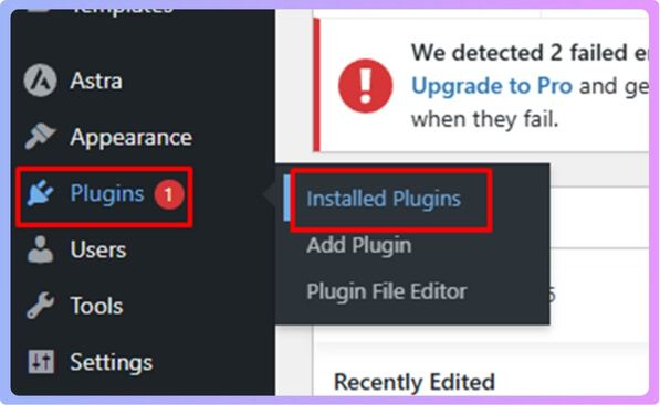 Check Installed Plugins