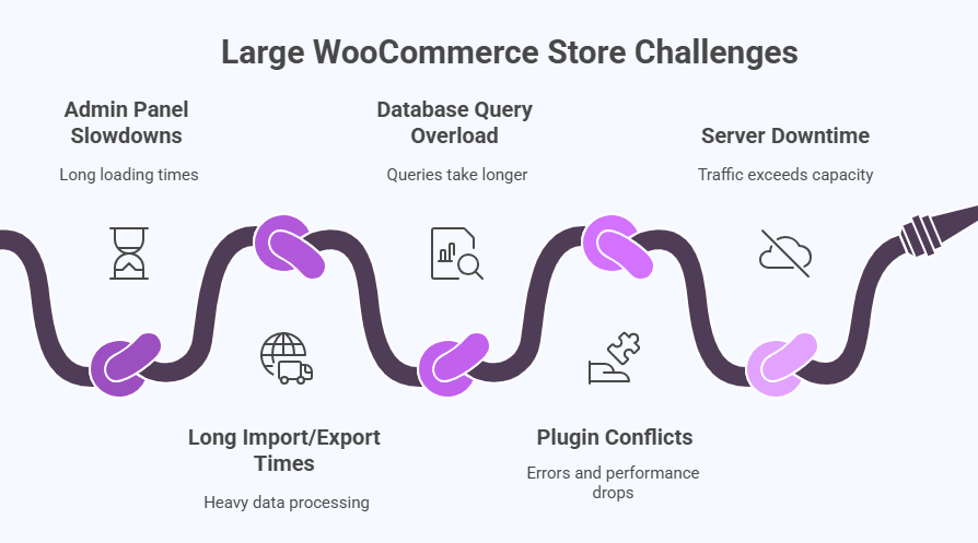 Challenges Faced by Large WooCommerce Stores