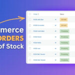 WooCommerce Allows Orders When Out of Stock