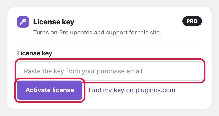 Paste the key, then Activate license.